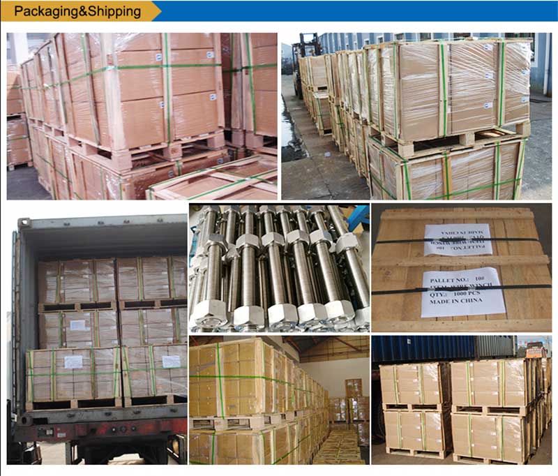 נירוסטה-רשימת ברגים-ברגים-אריזת אטב